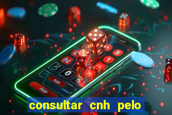 consultar cnh pelo cpf sp